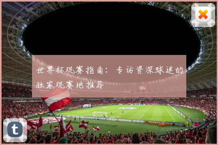 世界杯观赛指南:专访资深球迷的独家观赛地推荐