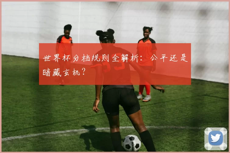 世界杯分档规则全解析：公平还是暗藏玄机？