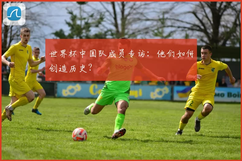 世界杯中国队成员专访:他们如何创造历史?