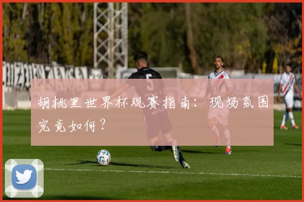 胡桃里世界杯观赛指南:现场氛围究竟如何?