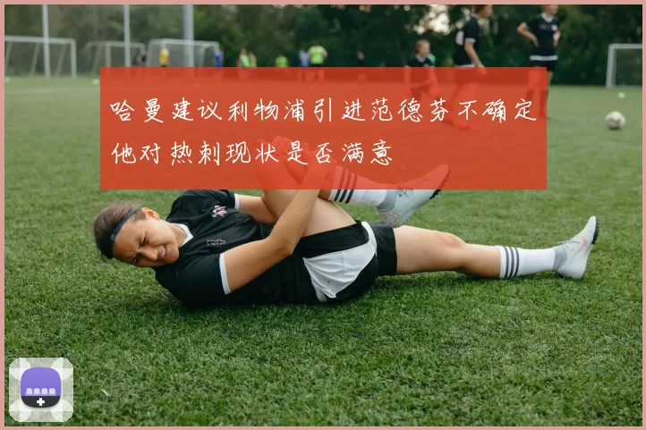哈曼建议利物浦引进范德芬不确定他对热刺现状是否满意