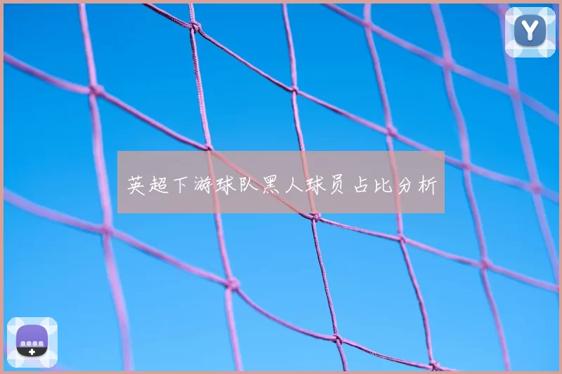 英超下游球队黑人球员占比分析