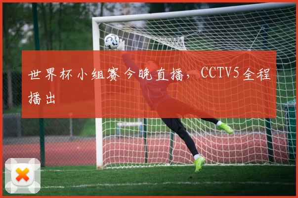 世界杯小组赛今晚直播，CCTV5全程播出