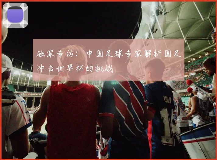 独家专访：中国足球专家解析国足冲击世界杯的挑战