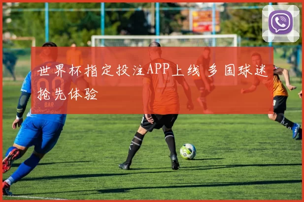 世界杯指定投注APP上线 多国球迷抢先体验