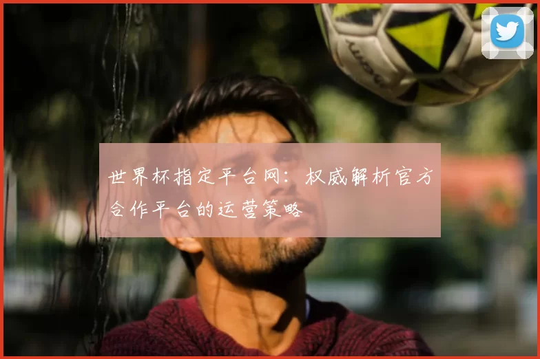 世界杯指定平台网：权威解析官方合作平台的运营策略
