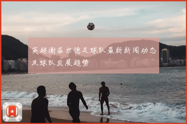 英超谢菲尔德足球队最新新闻动态及球队发展趋势
