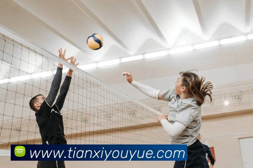 华体会体育平台生态图